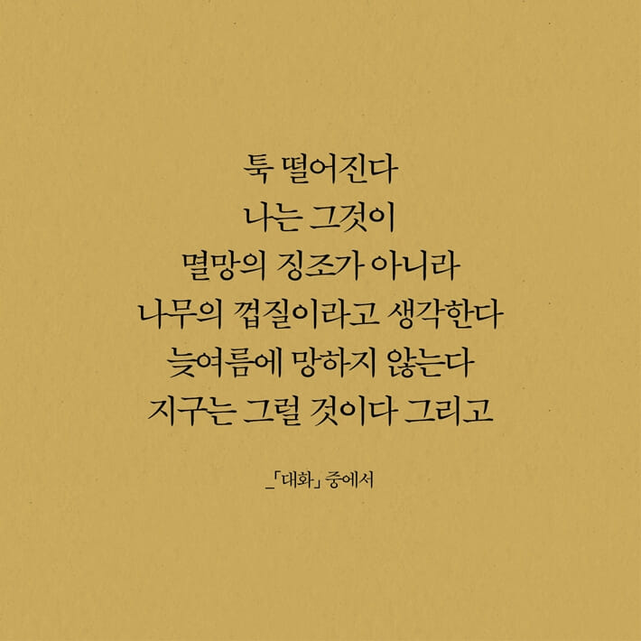 카드뉴스4