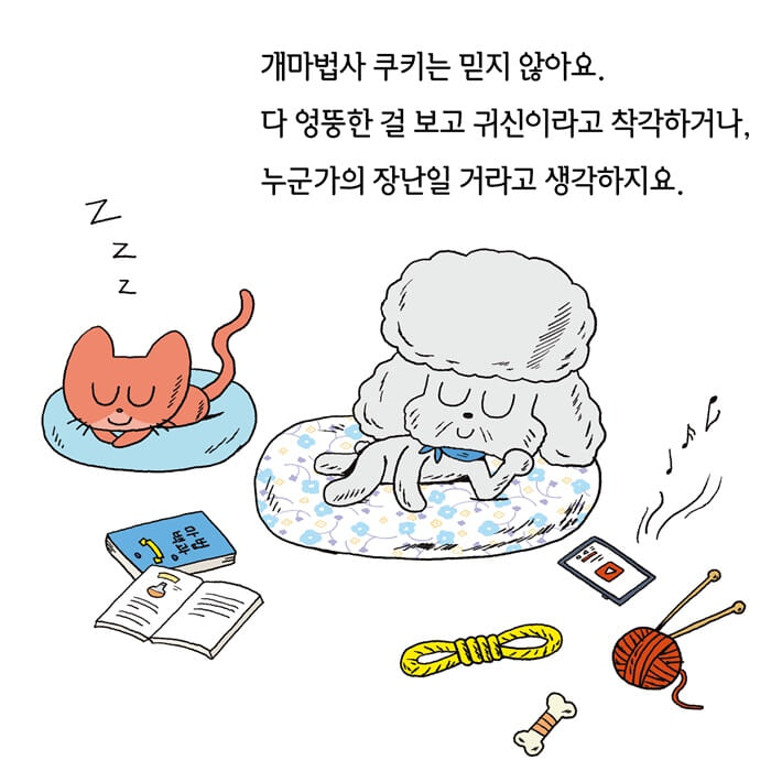 카드뉴스1