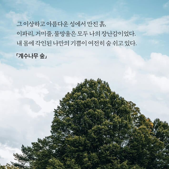 카드뉴스3