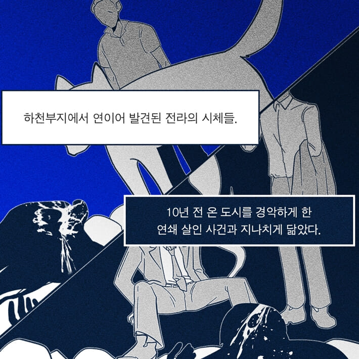 카드뉴스2