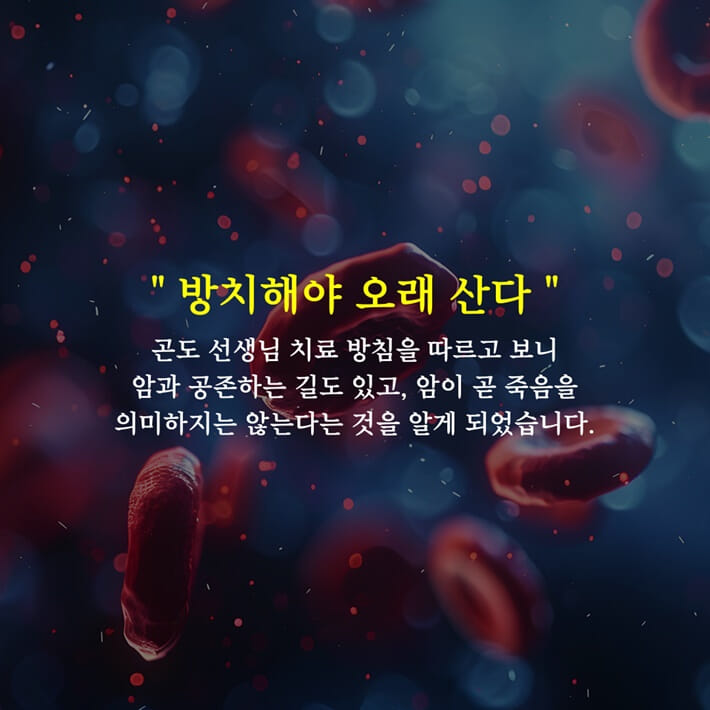 카드뉴스6