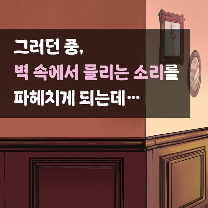 카드뉴스3