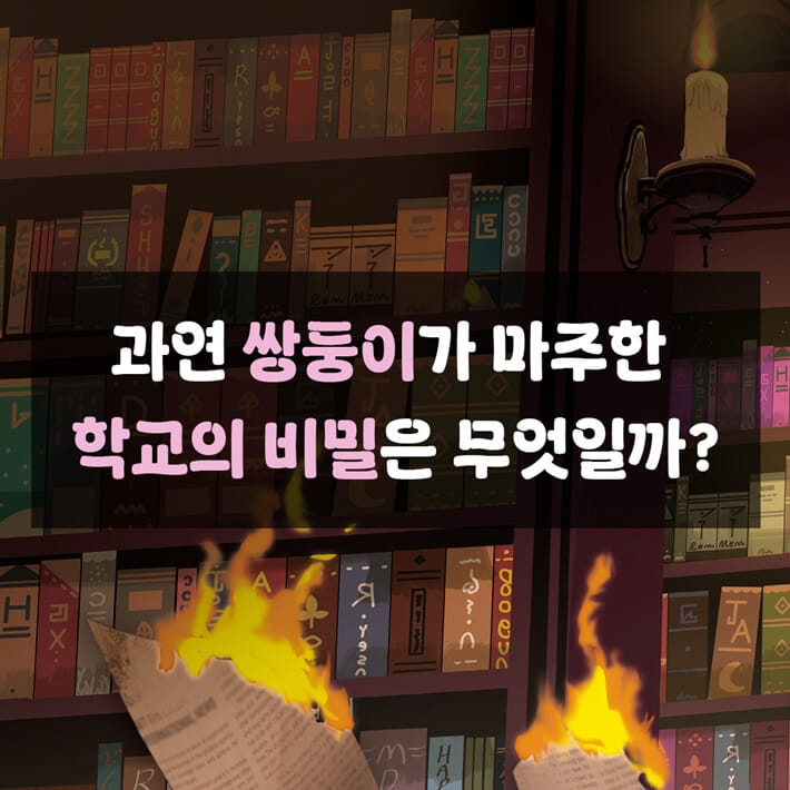 카드뉴스4