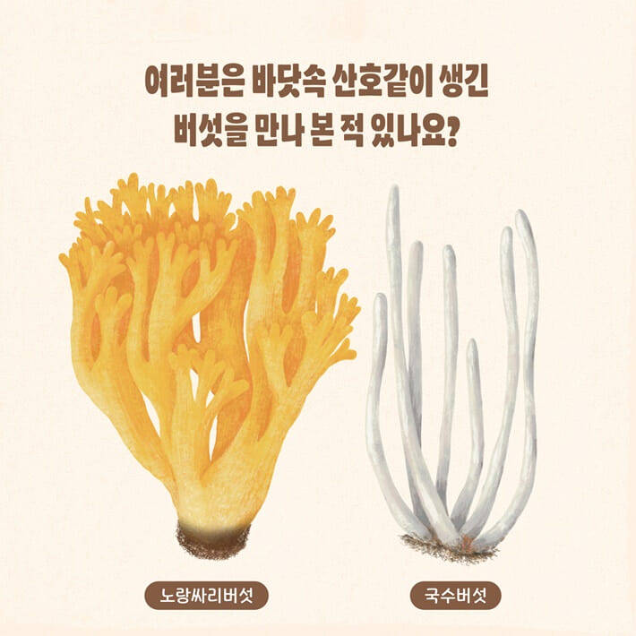카드뉴스0