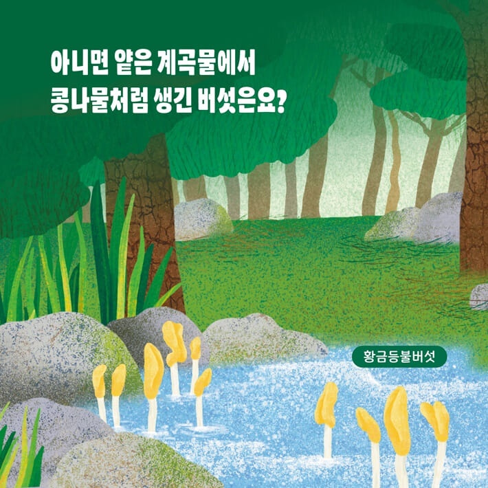 카드뉴스1