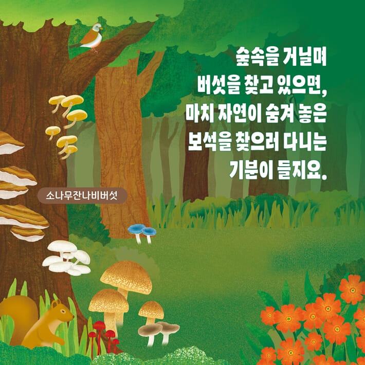 카드뉴스2