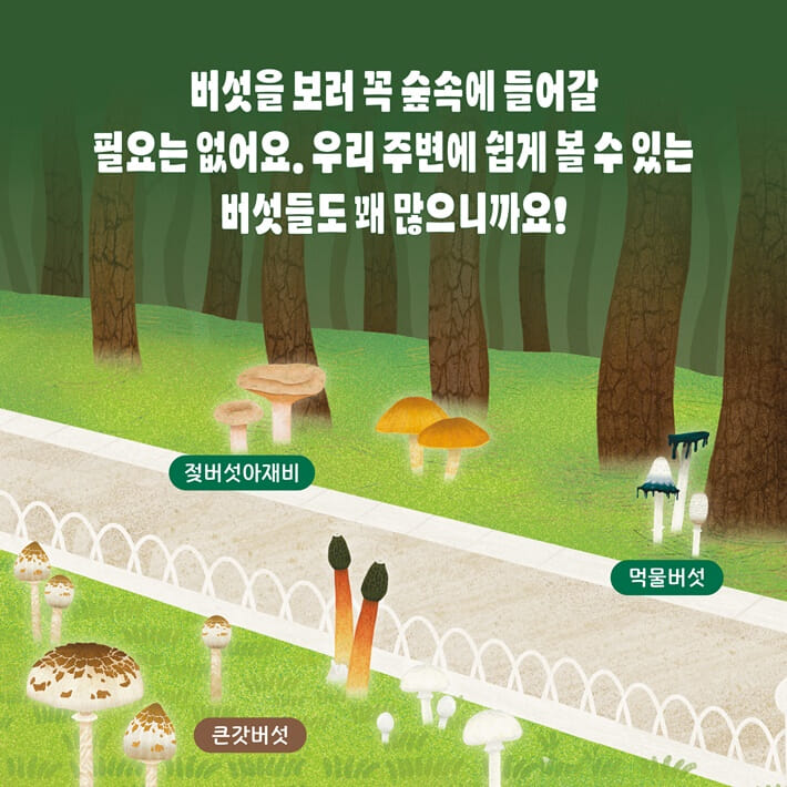 카드뉴스3
