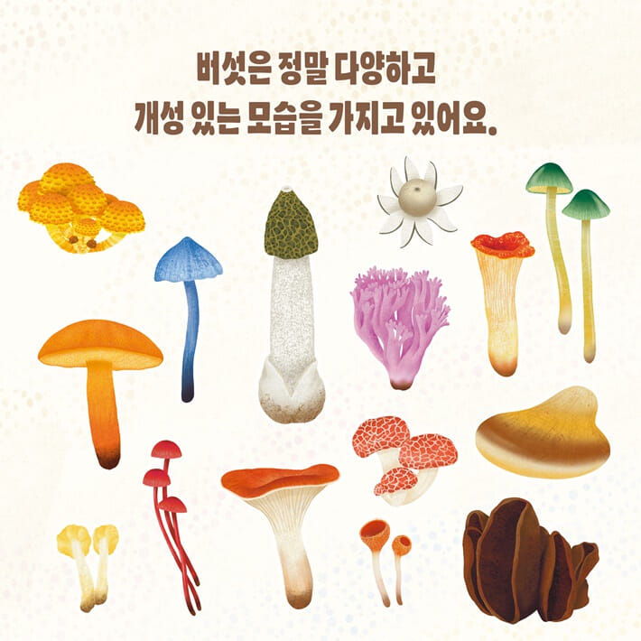카드뉴스4