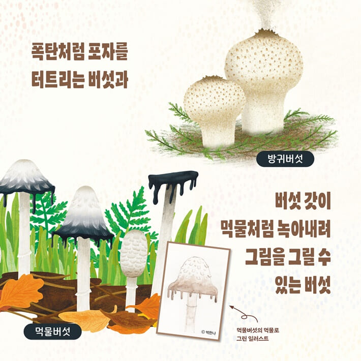 카드뉴스5