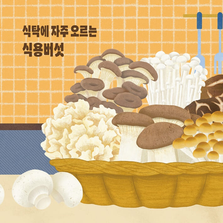 카드뉴스6