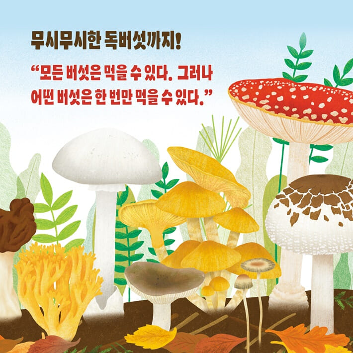 카드뉴스7
