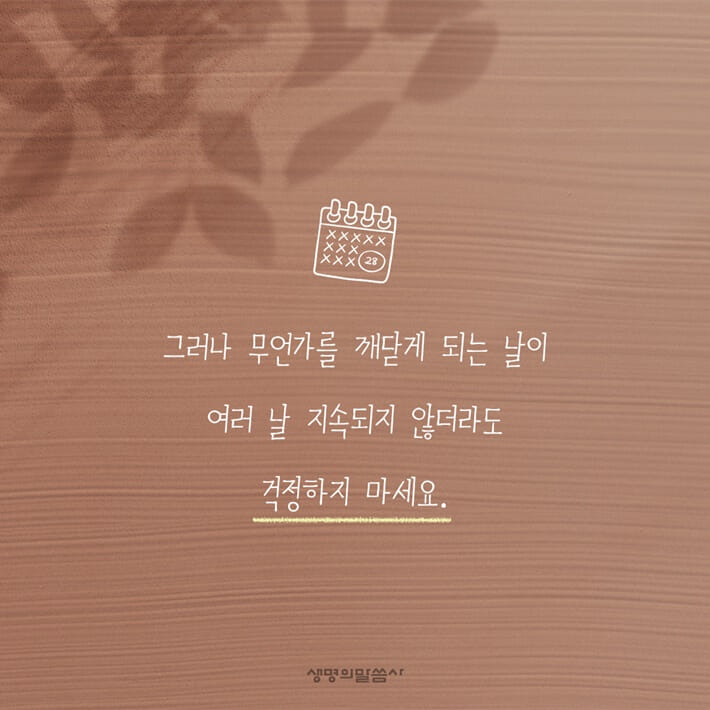카드뉴스2