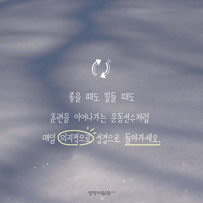 카드뉴스3