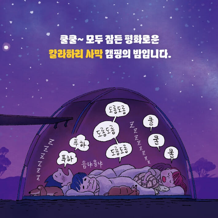 카드뉴스0