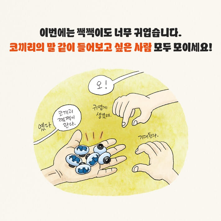 카드뉴스5