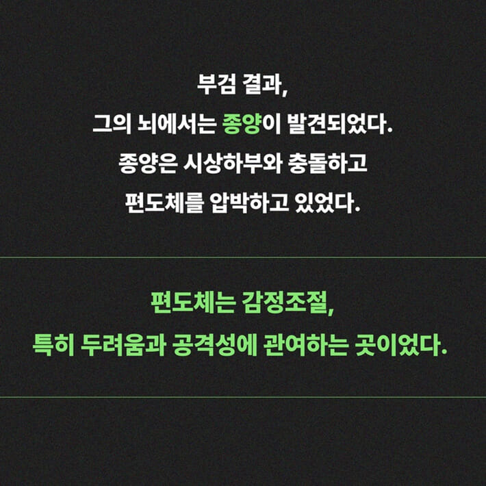 카드뉴스5