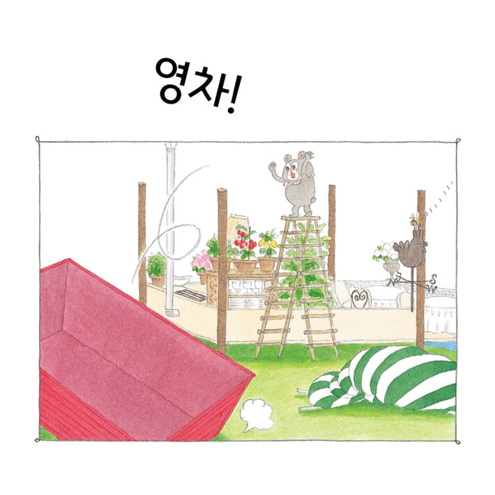 카드뉴스5