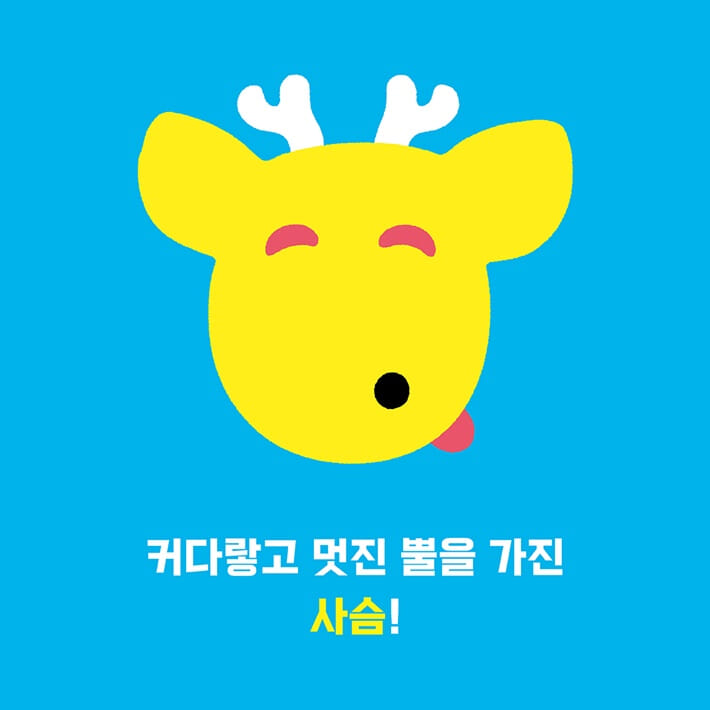 카드뉴스5