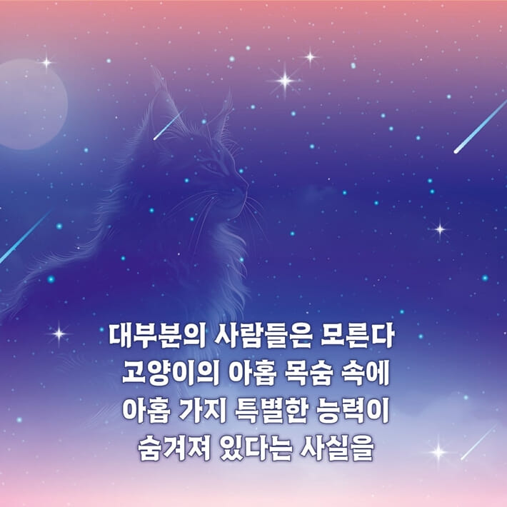 카드뉴스1