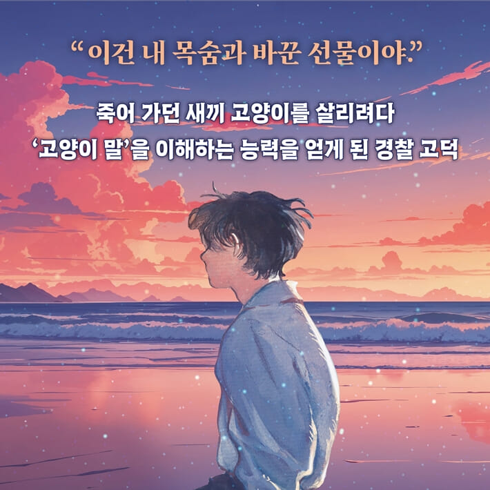 카드뉴스2