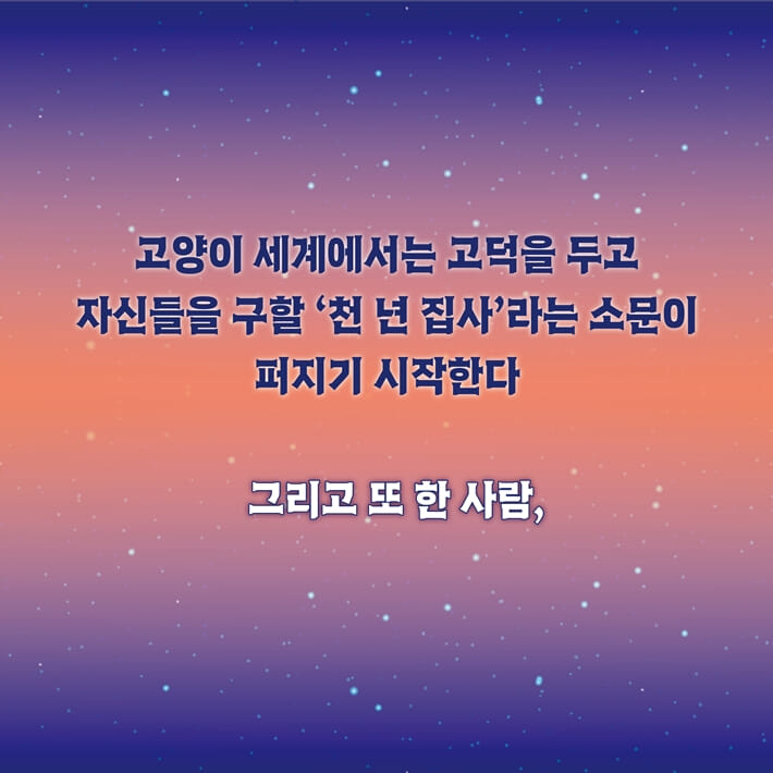 카드뉴스3