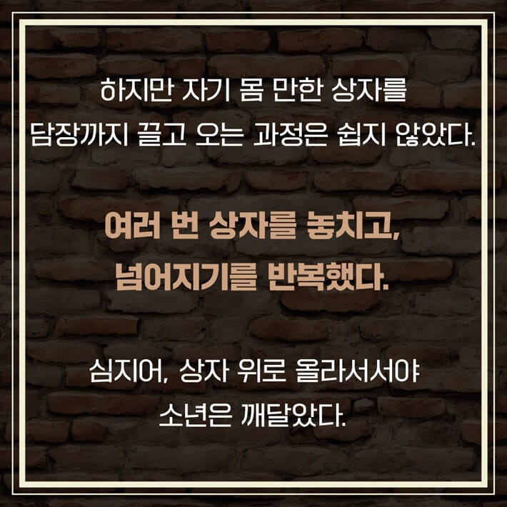 카드뉴스2