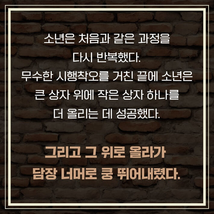 카드뉴스5