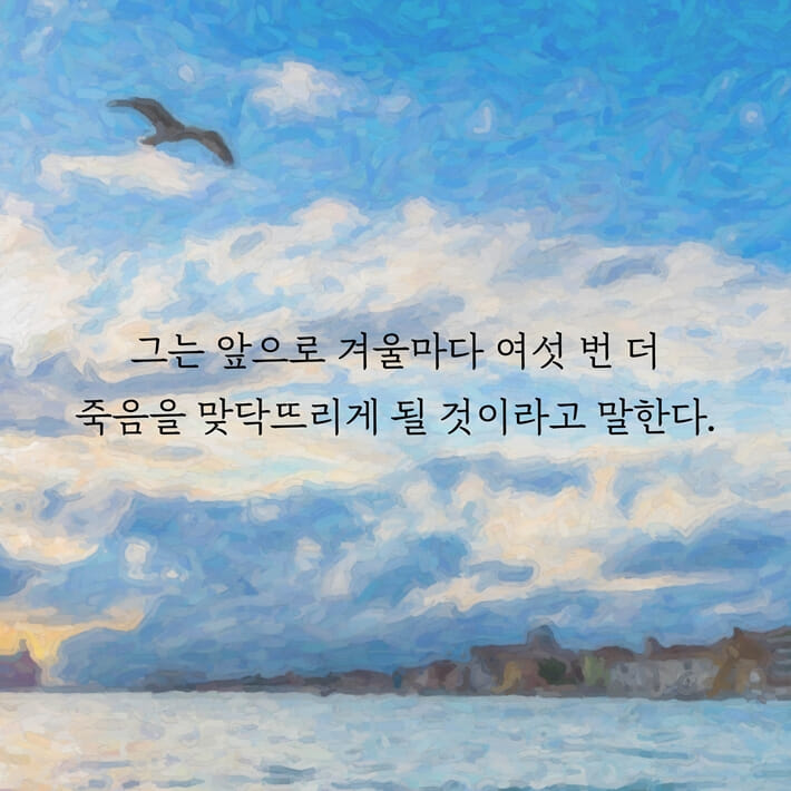 카드뉴스8