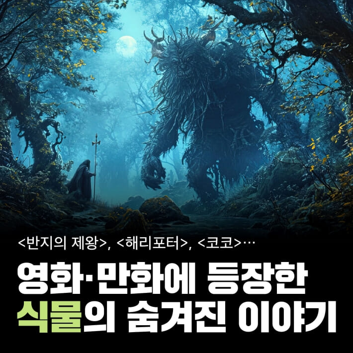 카드뉴스0