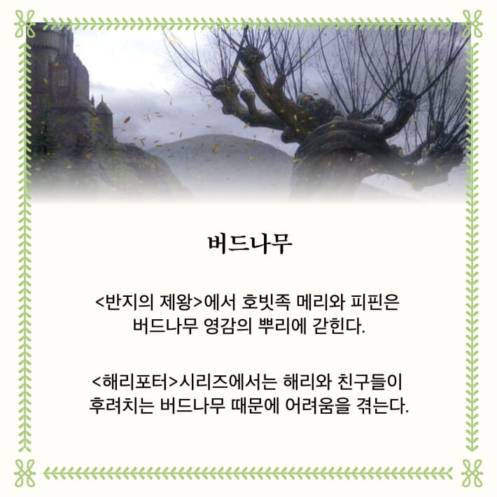 카드뉴스1