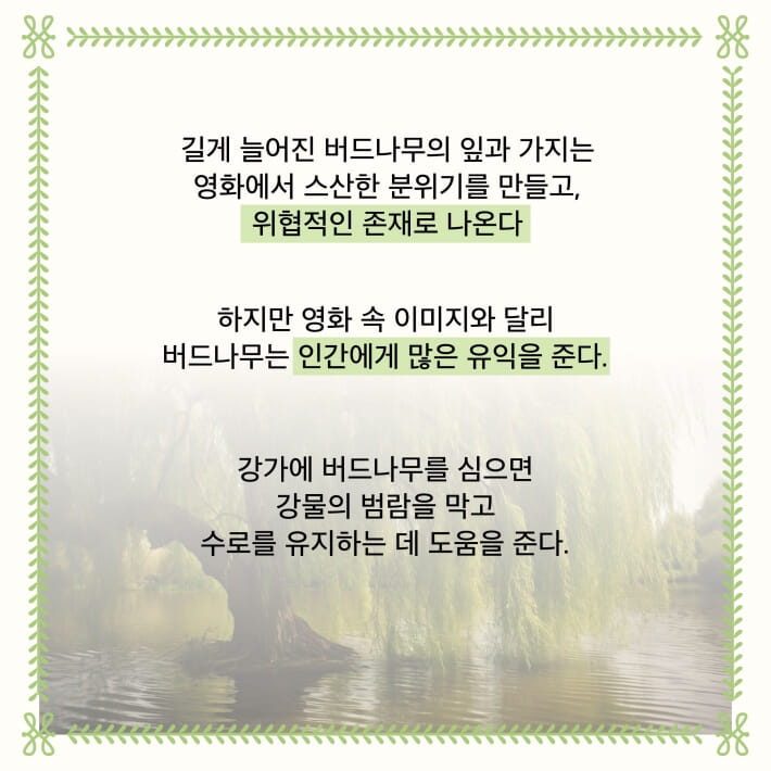 카드뉴스2