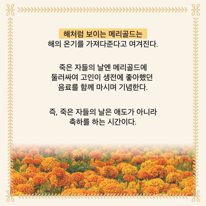 카드뉴스5