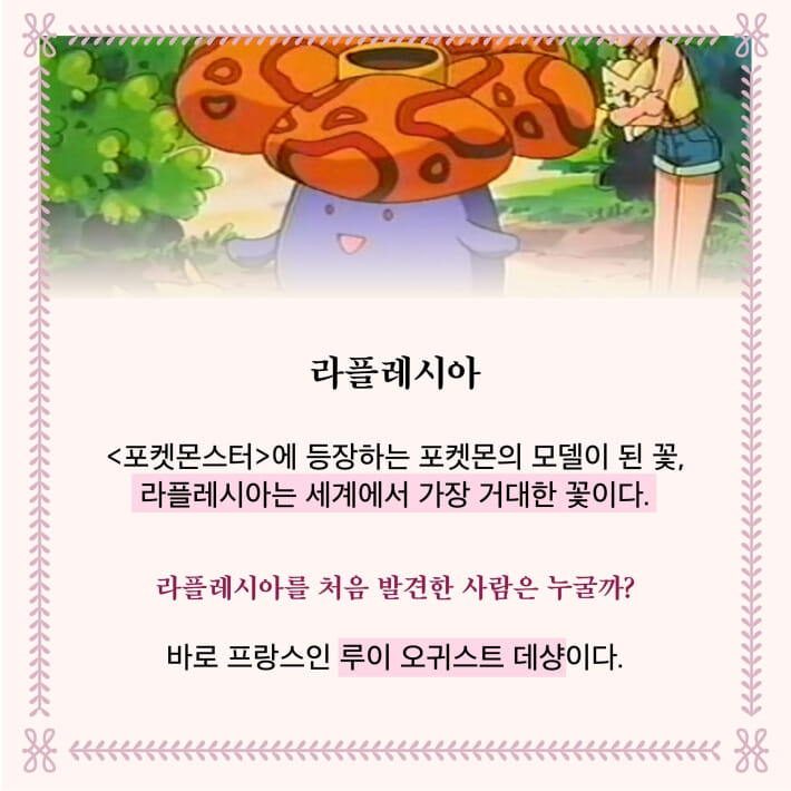 카드뉴스6