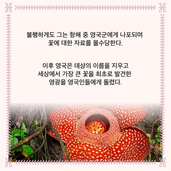 카드뉴스7