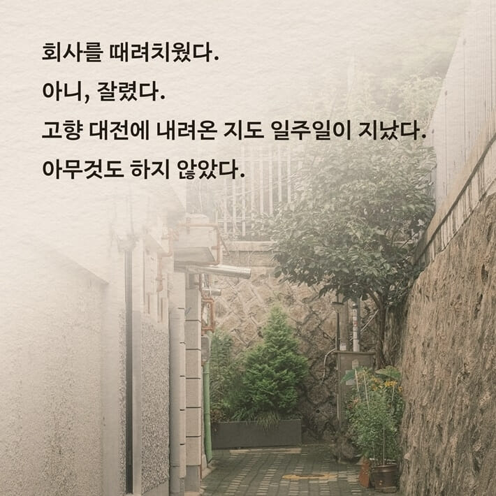 카드뉴스0