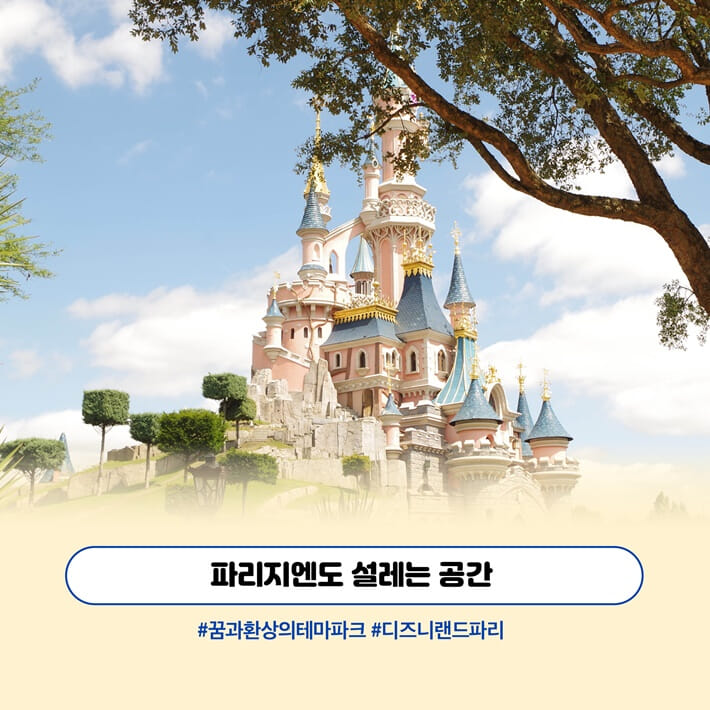 카드뉴스5