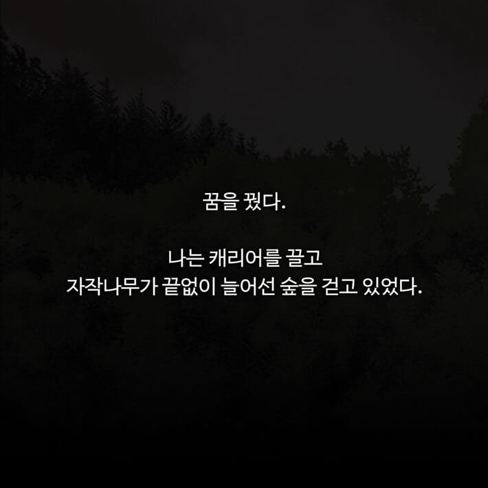 카드뉴스0