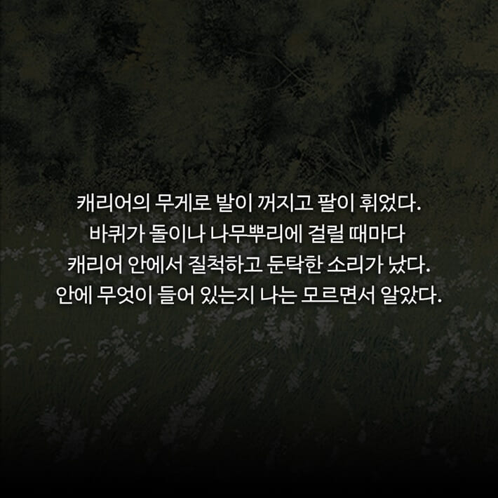 카드뉴스1