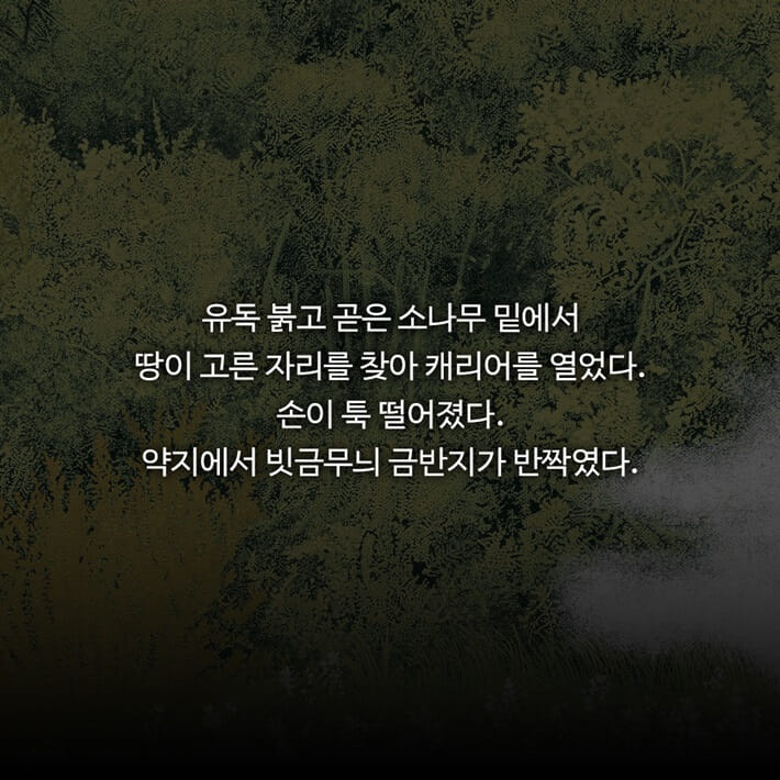 카드뉴스2