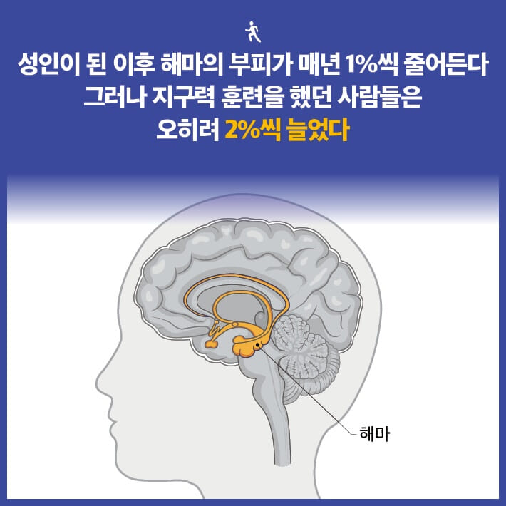 카드뉴스3