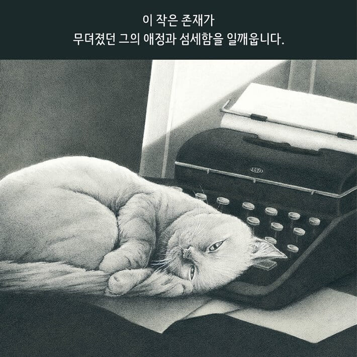 카드뉴스4