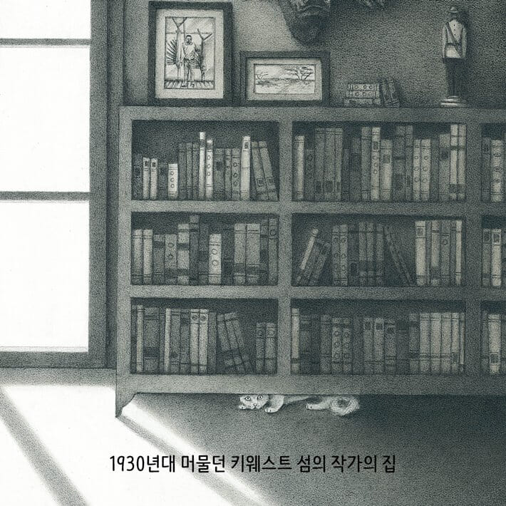 카드뉴스5