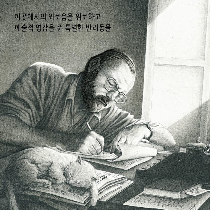 카드뉴스6