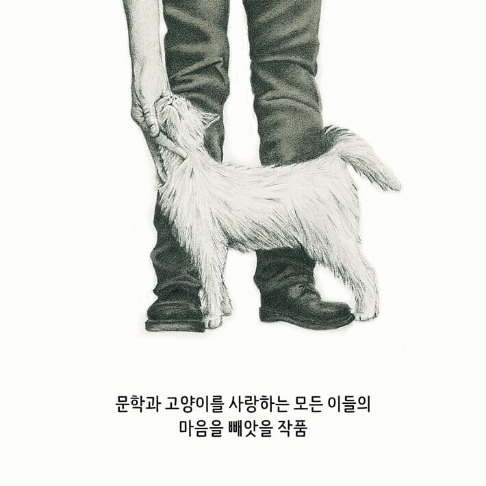 카드뉴스7