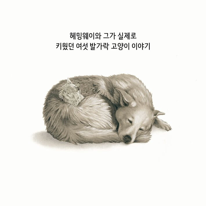 카드뉴스8