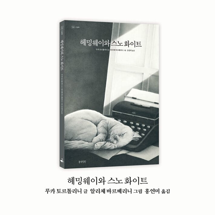 카드뉴스9