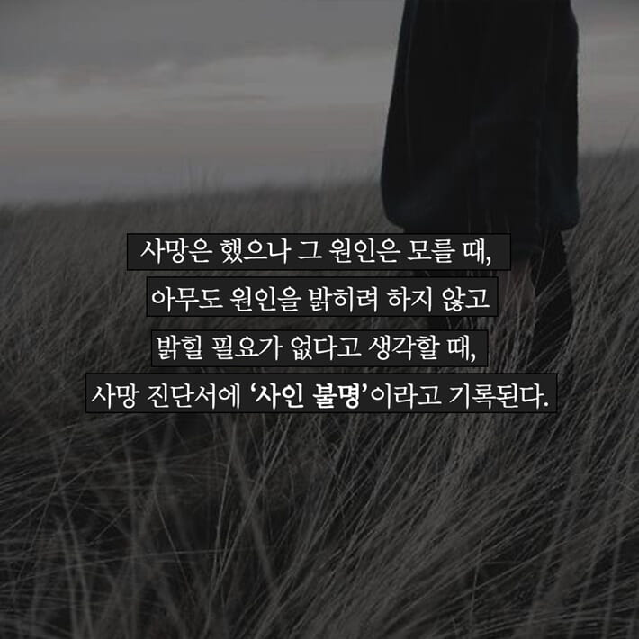카드뉴스2