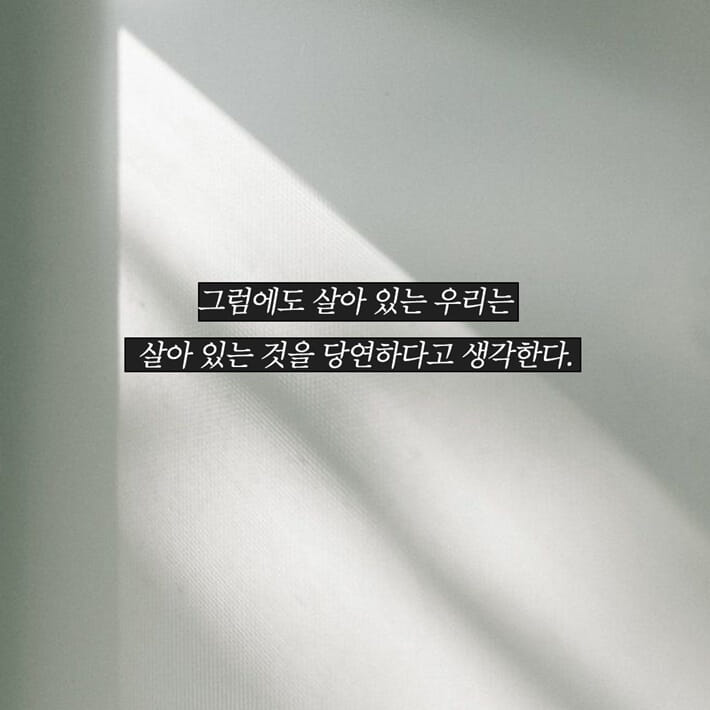 카드뉴스3