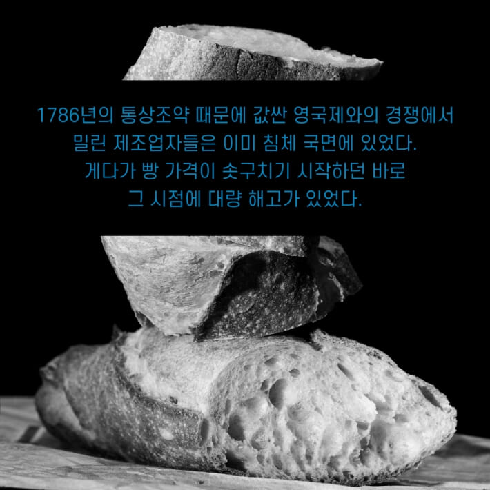 카드뉴스4