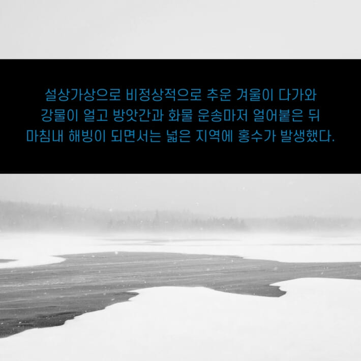 카드뉴스5